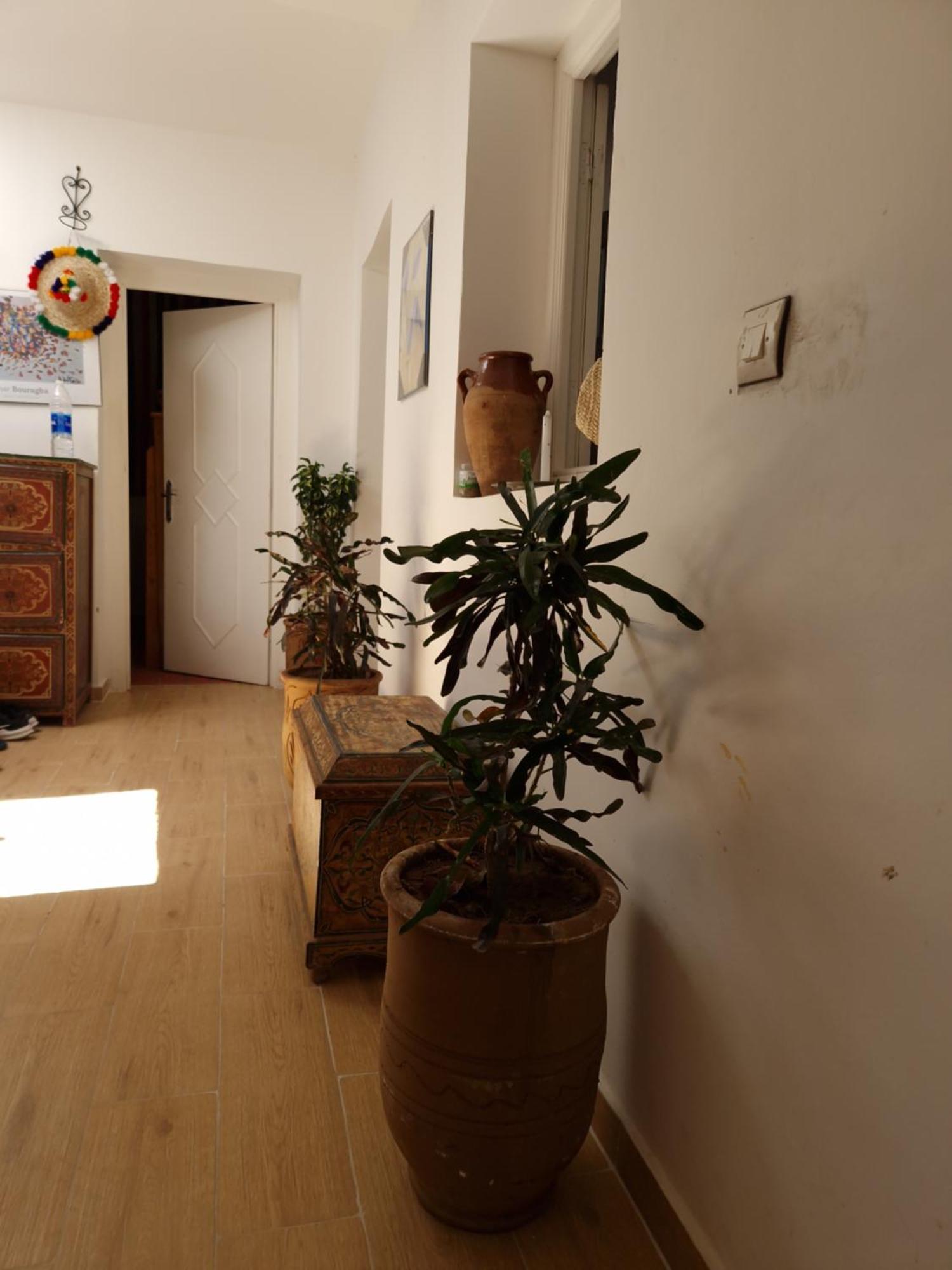 Hostel Banana Dar Baroud Tangier Exterior photo